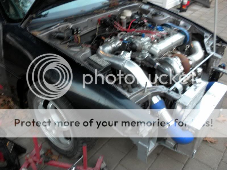 DSCN1271-1.jpg