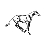 9.gif