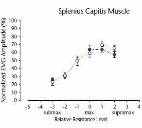 Training shoulders with elastic band just as effective as using weights
