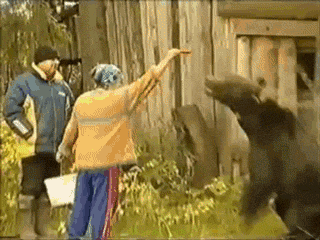 YvCdnfp.gif
