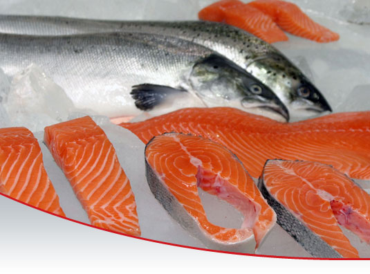 blog-salmon.jpg