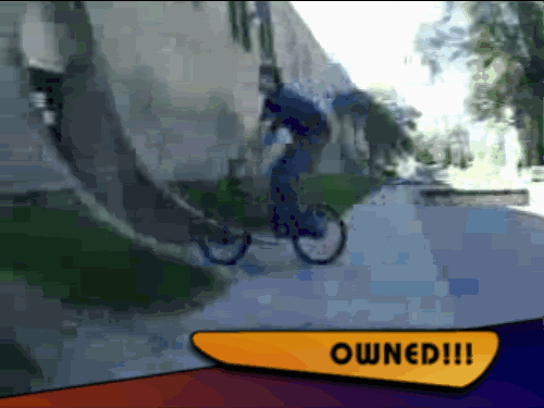 owned3.gif