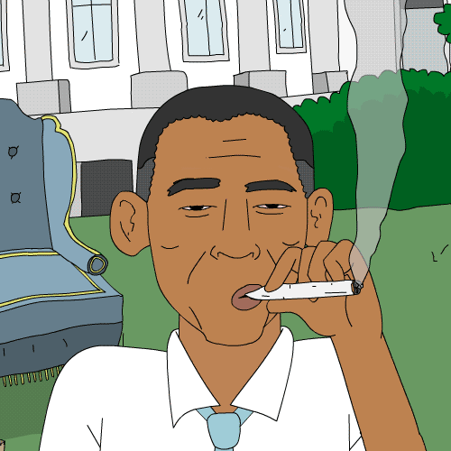 tumblr_n0x5zlRT141qidwsho1_500.gif