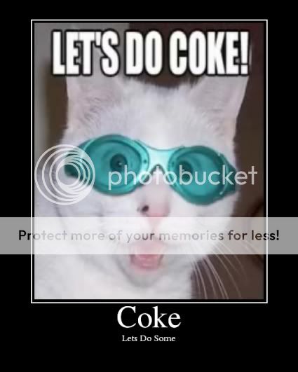 cokecat.jpg