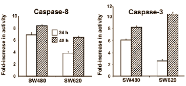 asparaguscolorectalcancer4.gif