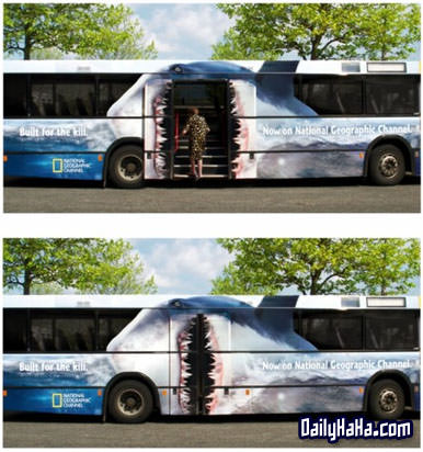 oddbus.jpg