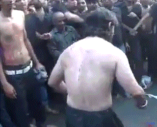 GxuTJ4o.gif