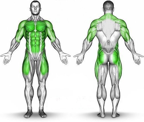 Cream-application-areas.jpg