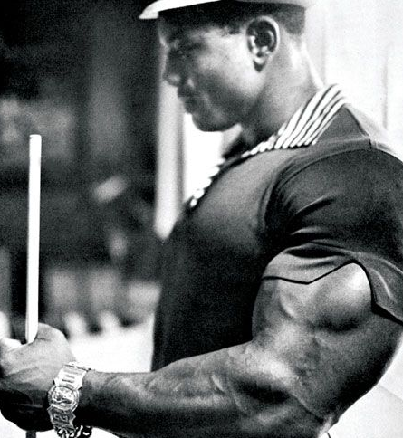 sergio oliva arms