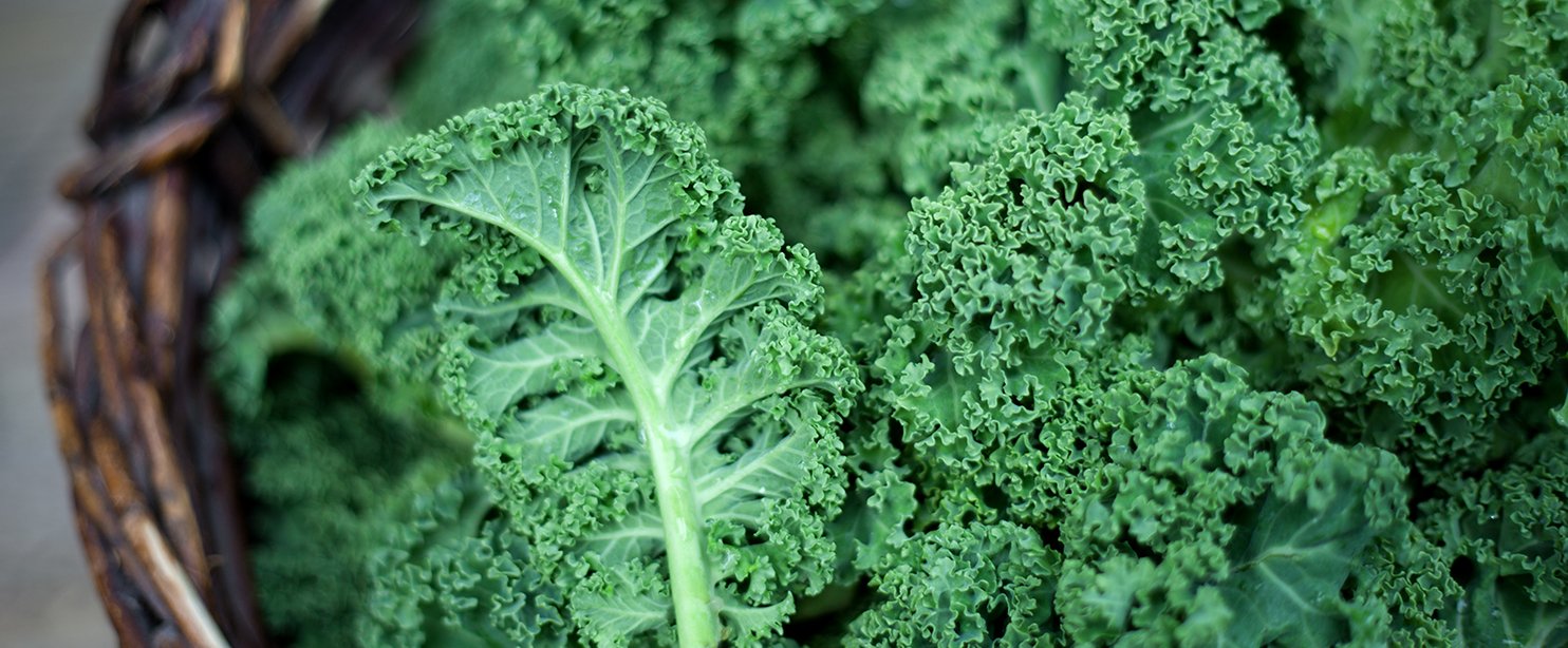 kale.jpg
