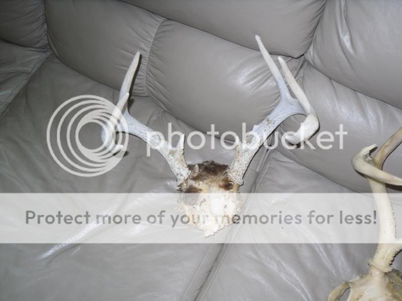 remount076.jpg