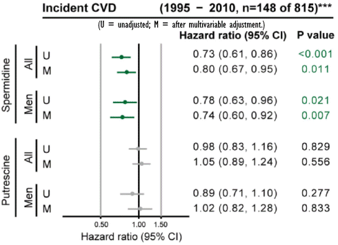 spermidine-longevity-cvd-human.gif