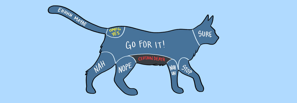 How-To-Properly-Pet-An-Animal.jpg