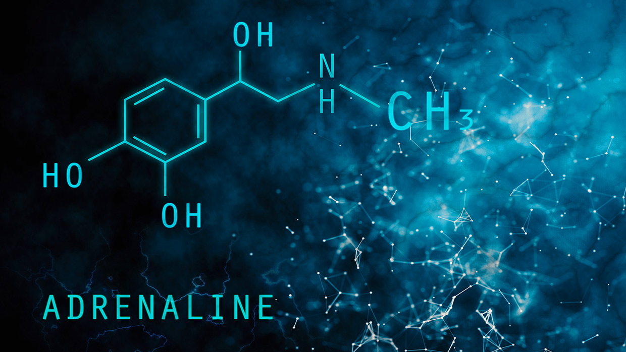 Adrenaline
