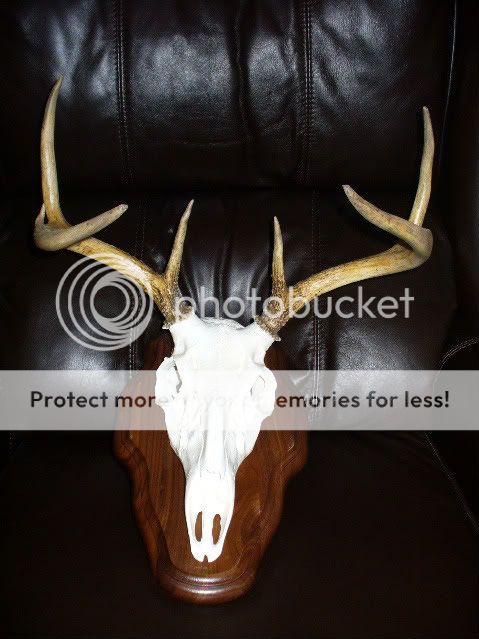 remount011.jpg