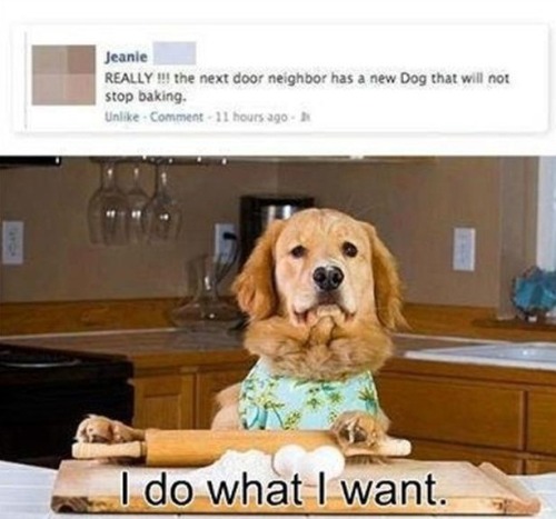 tumblr_mgzvs0LezP1r0wqrdo1_500.jpg