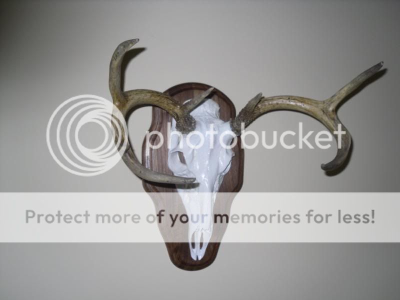 remount084.jpg