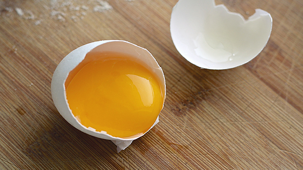 Egg