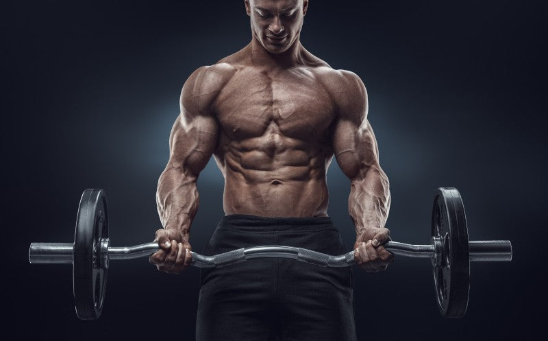 EZ Bar Curls