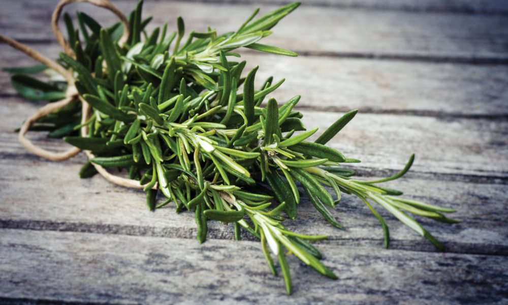 IM0716_ResearchFat_Rosemary_01-1-1000x600.jpg
