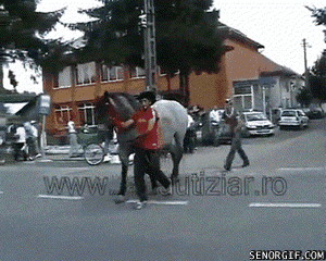 Dta1a.gif