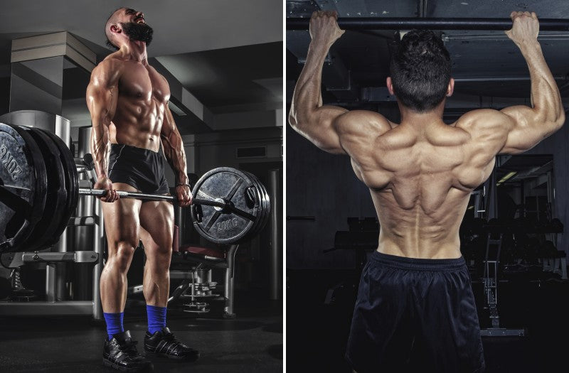 Back Exercises