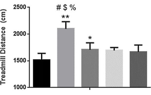 Paraxanthine makes you stronger, more muscular and increases your stamina