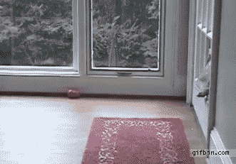 41UFR.gif