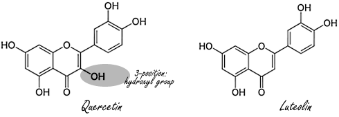quercetin-luteolin-difference.gif