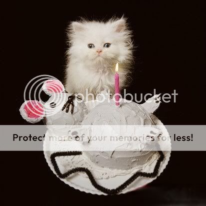 kitten2Bbirthday.jpg