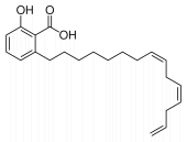 anacardicacidstructure.gif