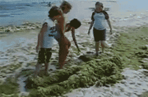 tumblr_l6ln0it43P1qajg12o1_400.gif