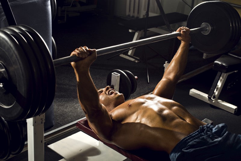 Bench Press