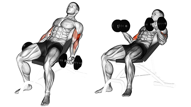 Incline Biceps Curl
