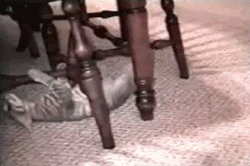 catgifpage32.gif
