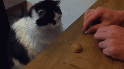 HXSi2.gif