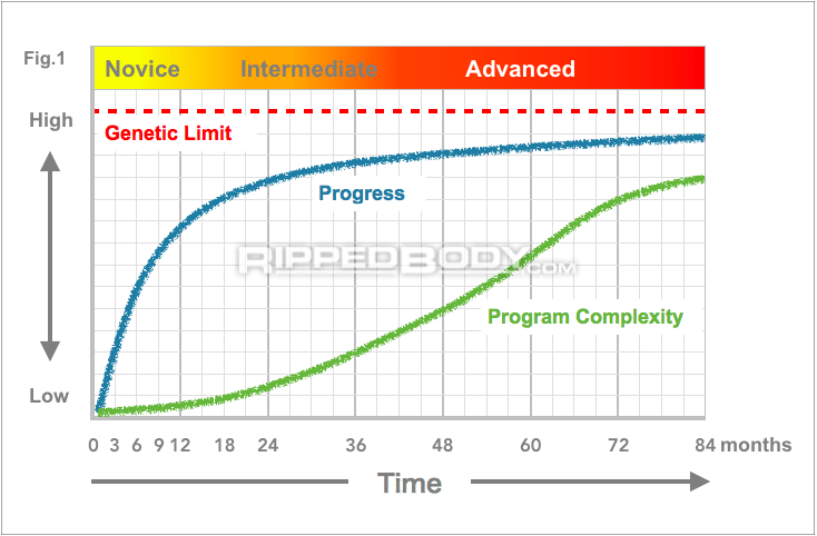 exercise-selection-fig-1-rippetoe