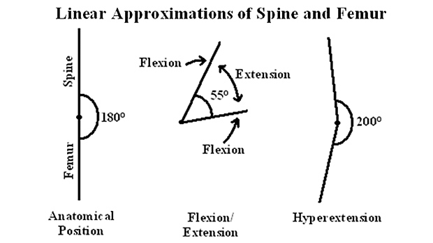 linear approximations