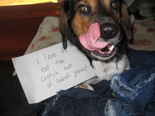 tumblr_m948ocOEjD1re4ne0o1_500.jpg