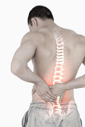 Spine