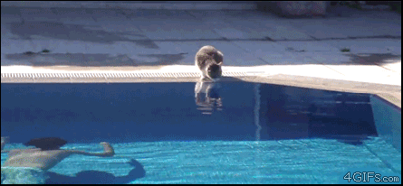 k2Mwm.gif