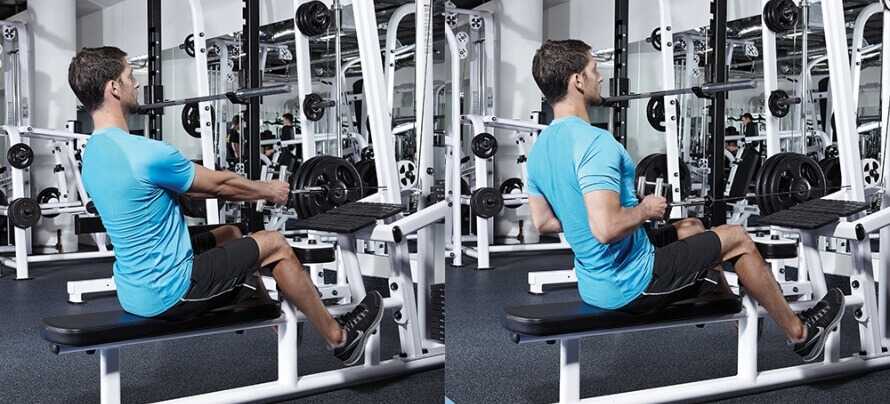 Seated Cable Row