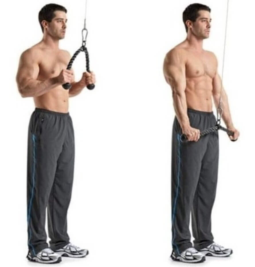 Triceps Pushdown