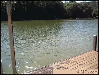 89gTO.gif