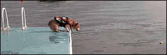hmgP5.gif