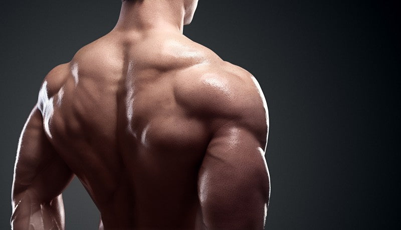 Thick Shoulders