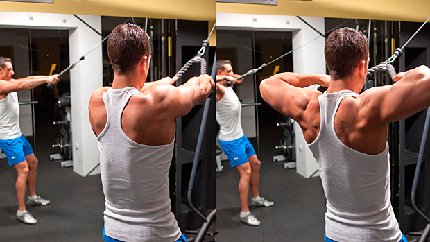 Face Pulls