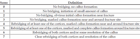 citrulline-bone-fracture-healing-2.gif