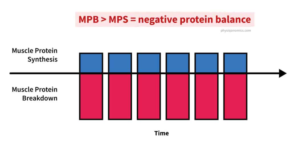 MPSMPB-1024x495.jpg