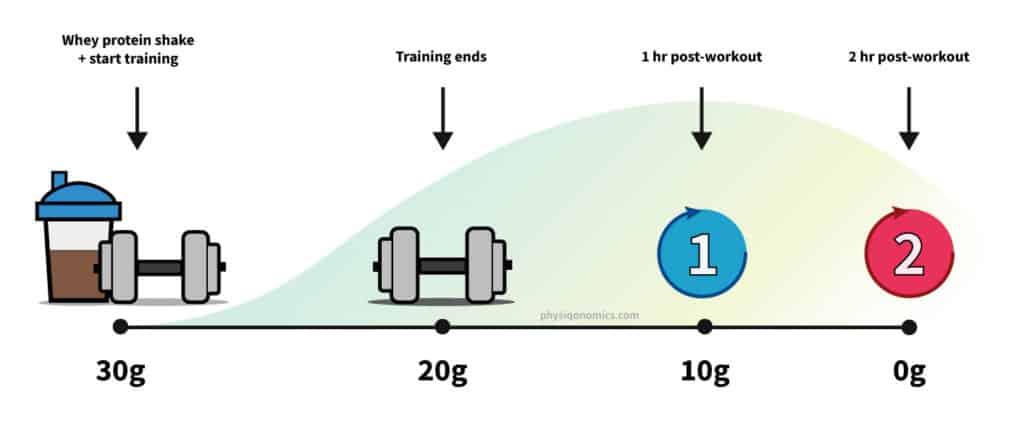 protein-before-training-1024x424.jpg